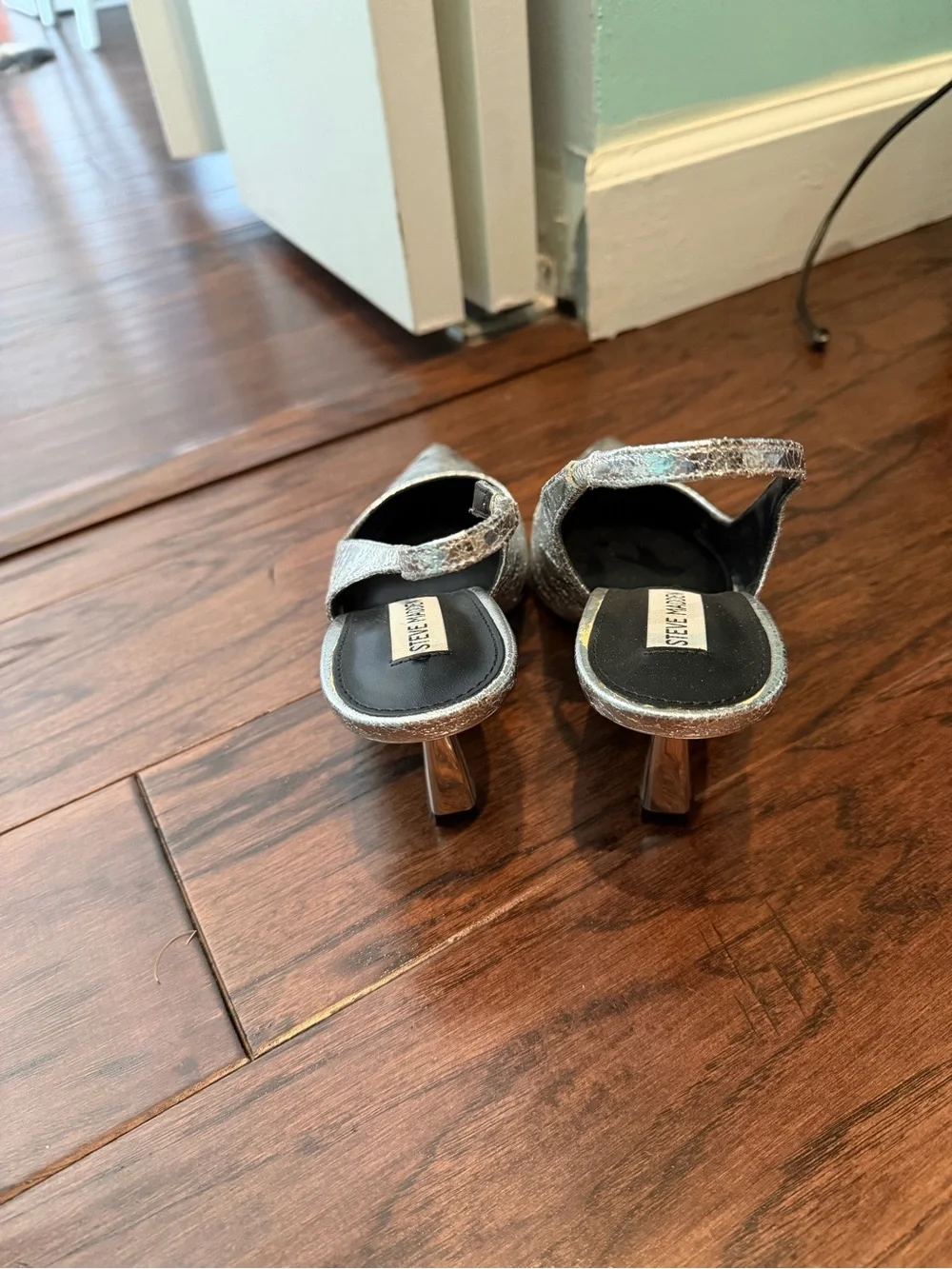 Steve Madden chic pointed